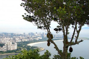 Brazil city economy