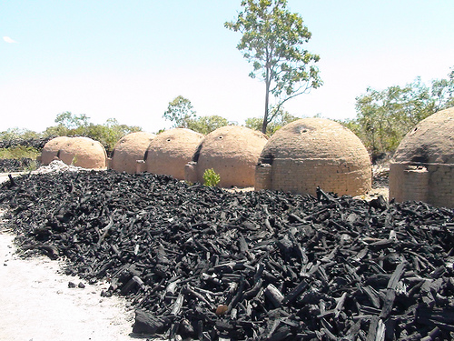 Eucalyptus Kilns